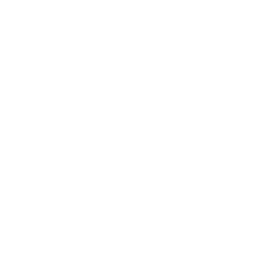 Web Design & Development